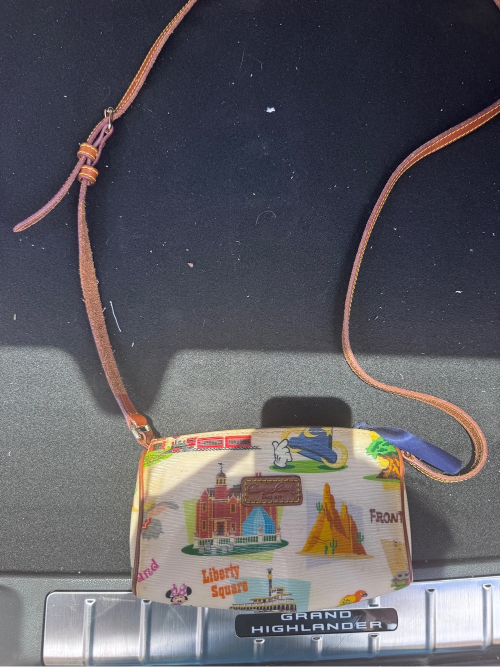 Dooney & Bourke Multi-Color Printed Crossbody Bag with Brown Strap